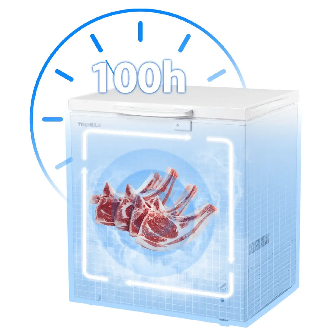 Tủ đông Toshiba Inverter 293 lít GR-RC390CM-PMV(01)