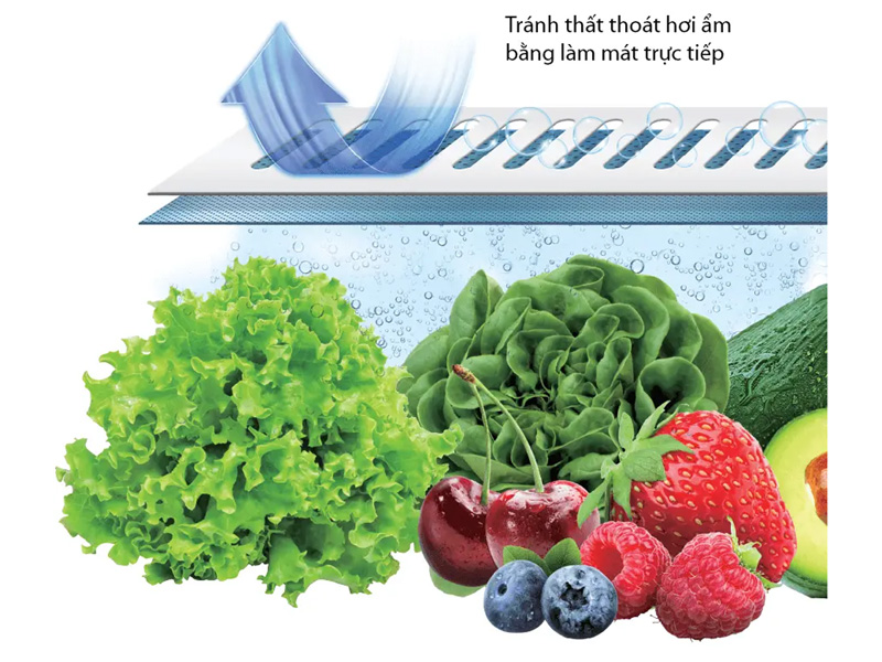 Tủ lạnh Toshiba Inverter 533 lít Japandi Multi Door GR-RF690WI-PGV(67)