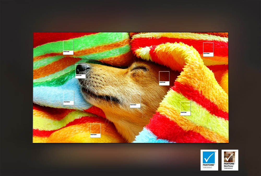 Smart Tivi OLED Samsung AI 4K 55 inch QA55S90F