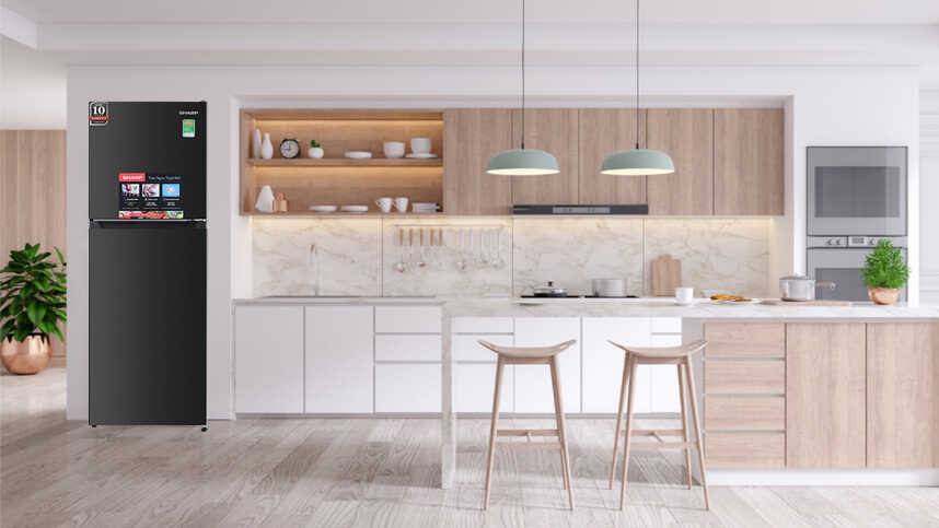 Tủ lạnh Sharp SJ-X270V-DG Inverter 247 lít